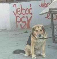 1728820120606.jpeg