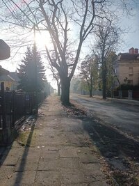 IMG_20241105_093622.jpg
