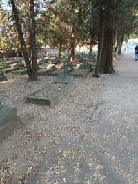 IMG_20241106_100618.jpg