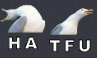 1000007097.jpg