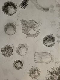 20251219_181724.jpg