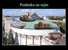 IMG_0120.jpeg