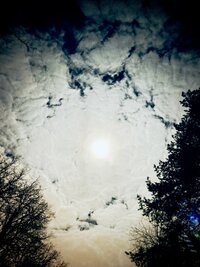 IMG_4938.jpeg