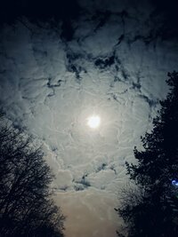IMG_4937.jpeg