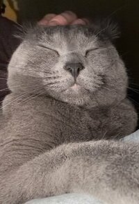IMG_9661.jpeg
