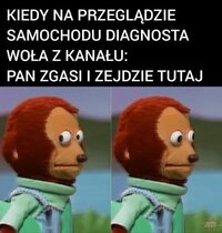 31251.jpg