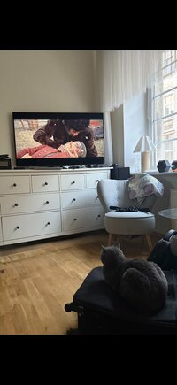 IMG_9790.jpeg