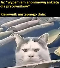 32241.jpg
