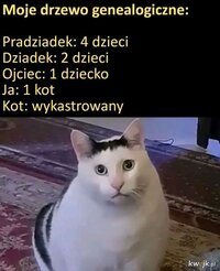 33701.jpg