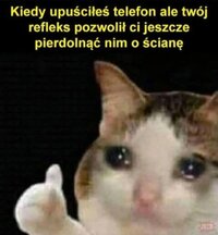 33725.jpg