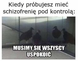 IMG_2214.jpeg