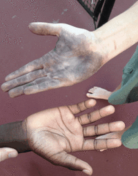 gif-20260512-160205.gif
