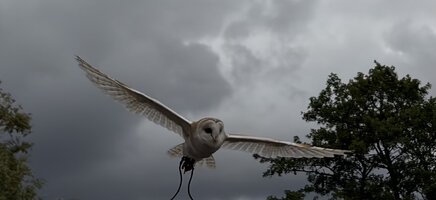 IMG_0465.jpeg
