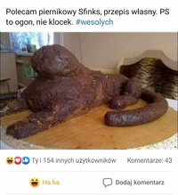 43112.jpg