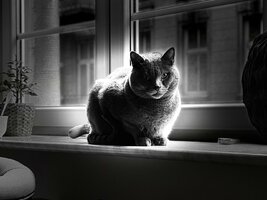 IMG_0684.jpeg