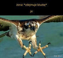 1781633975350.jpeg