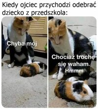 1781705925359.jpeg