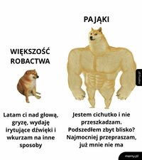 1000049875.jpg