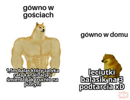 1781731830755.jpeg