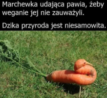 1781803832242.png