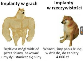 1000050203.jpg
