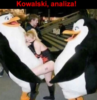 1782073623833.png
