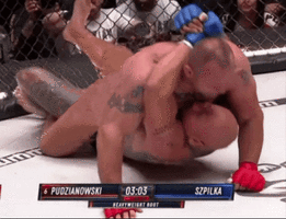 gif-20260628-132644.gif