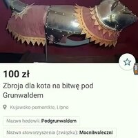 1000051730.jpg