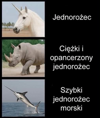 1783667956110.png