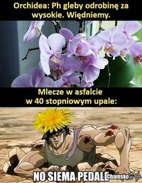 1000052209.jpg
