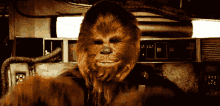 IMG_7586.gif