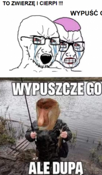1784403942344.png