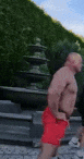 1000001810.gif