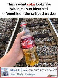 1784713351378.jpeg