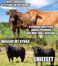 1784783667614.png