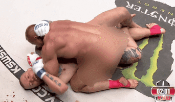 gif-20260723-181343.gif
