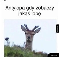 FB_IMG_1784995177330.jpg