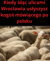 1785336801428.png