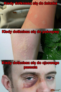 1785868997972.jpeg