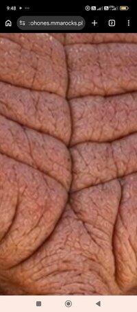 1000003919.jpg