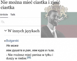 1786181319722.png
