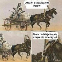 1000056857.jpg