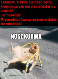 1787067254785.png