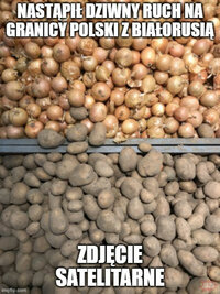 1787068221481.jpeg