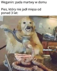 1000057756.png