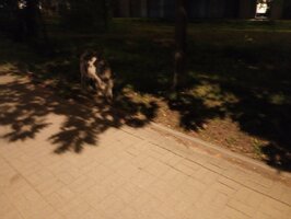 IMG_20260819_205819405_MFNR.jpg