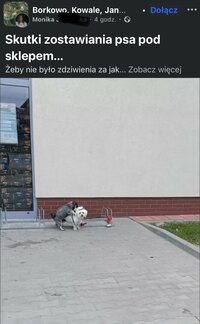 IMG_1389.jpeg