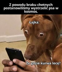 1000058161.jpg
