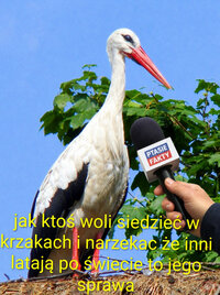 CRJCf6aYS49NfnkHAJQW9LMOLymZnIaL.jpg