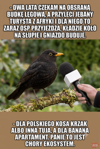 jpeg-optimizer_1000141392.png